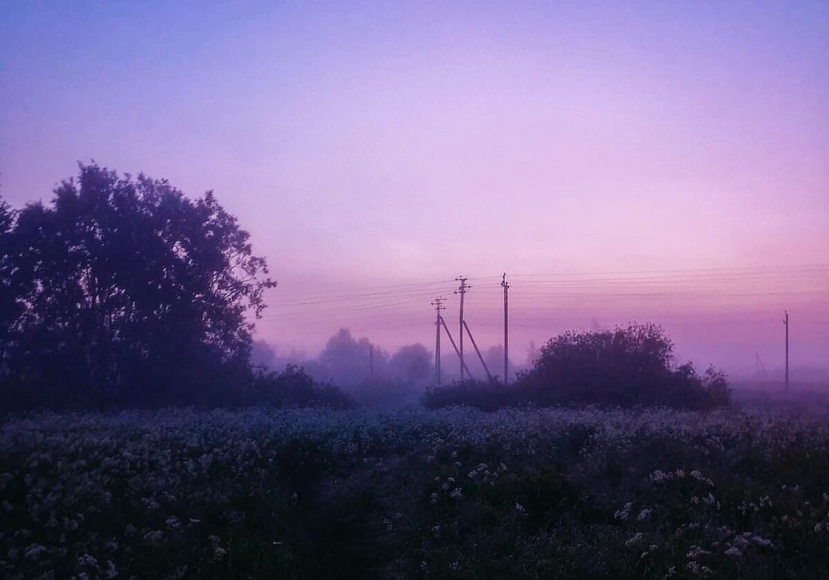 华体会最新官网-蓝鲸体育APP：让热血与数据同频共振的运动生活
